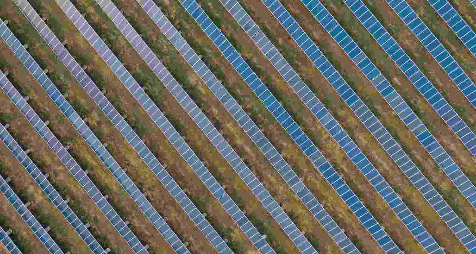 11agrivoltaico pannelli